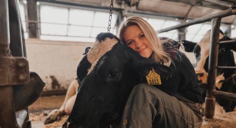 Liza Balet with UNH dairy cow