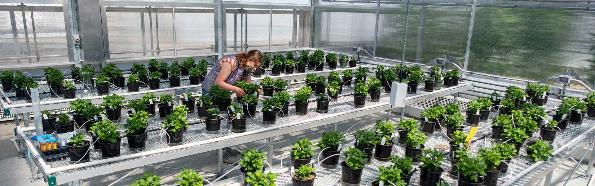 New Hampshire Agricultural Experiment Station College of Life