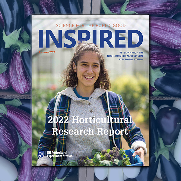A cover photo of the 2021 Inspired Horticultural Research report with a background showing eggplants