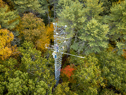 A photo of a tower in the forest that measures nitrogen. Photo featured in THRIVE 2022 Fall edition