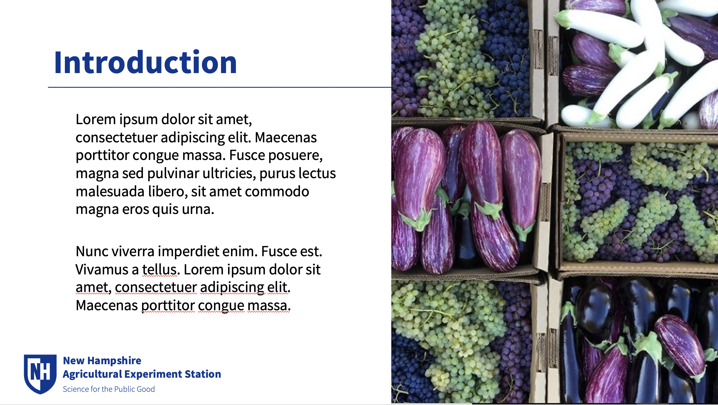 NHAES PPT Sample