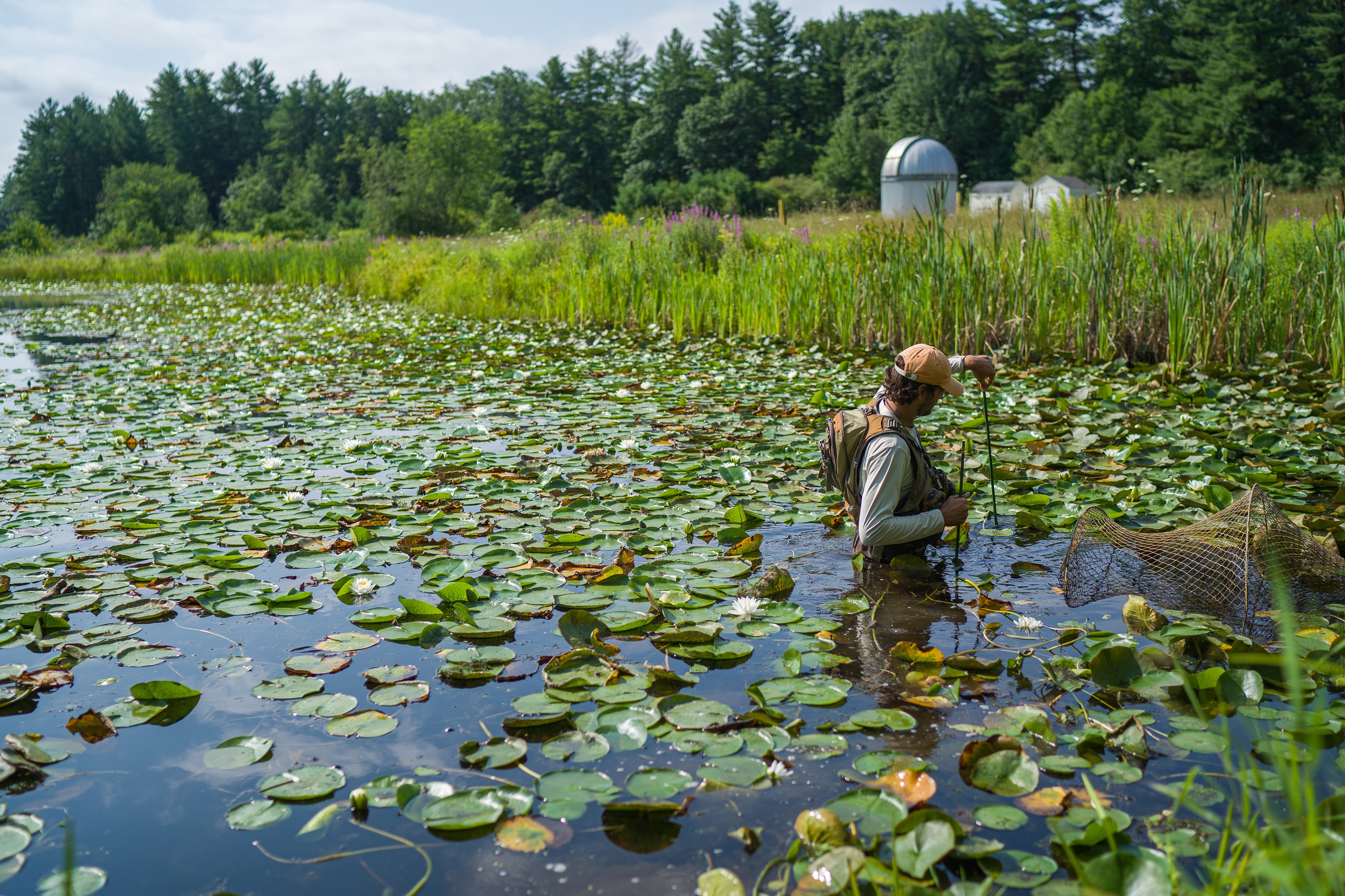 Post, Eric :: Department of Wildlife, Fish, and Conservation Biology