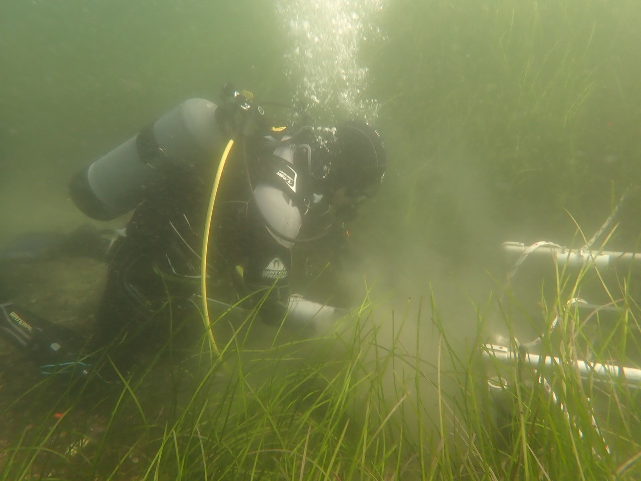 UNH doctoral candidate Grant Milne collecting sediment samples