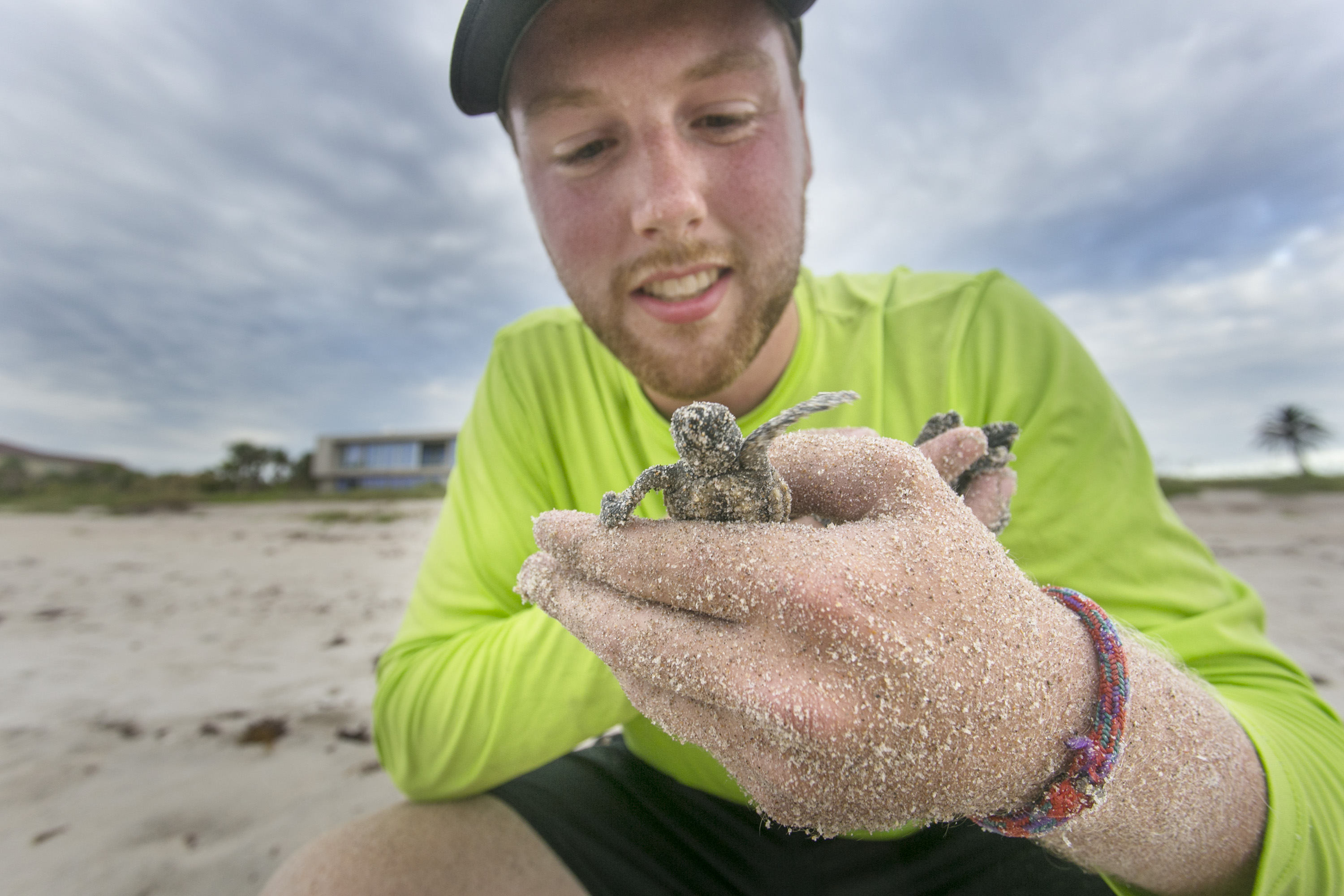 Grey Miller '20 holds baby sea turtle
