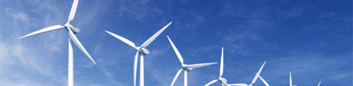 Environmental and Resource Economics