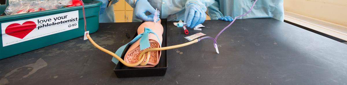 Biomedical Science Minor