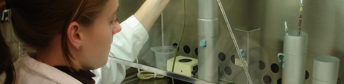 Neuroscience and Behavior Student in lab