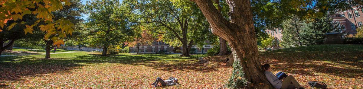 UNH Campus during fall, students sitting under tree