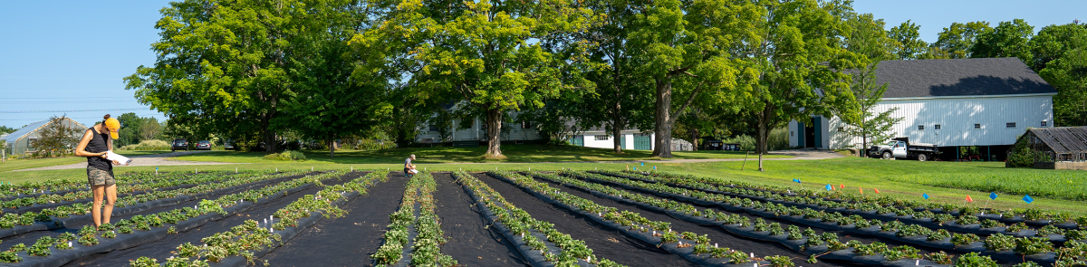 UNH Woodman Horticultural Research Farm UNH Woodman Horticultural Research Farm