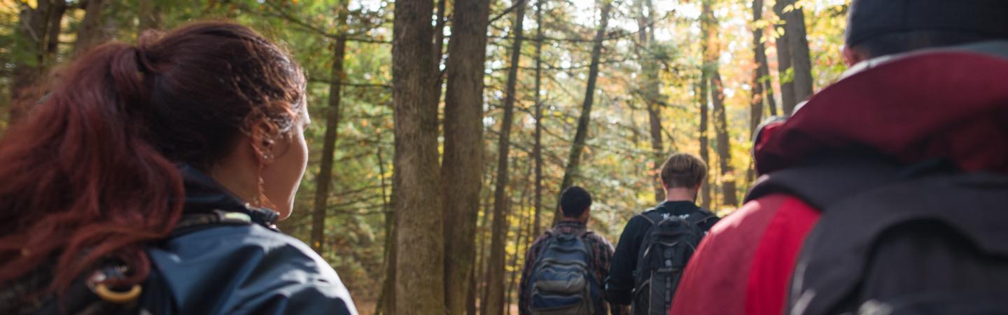 Students walking in college woods at UNH