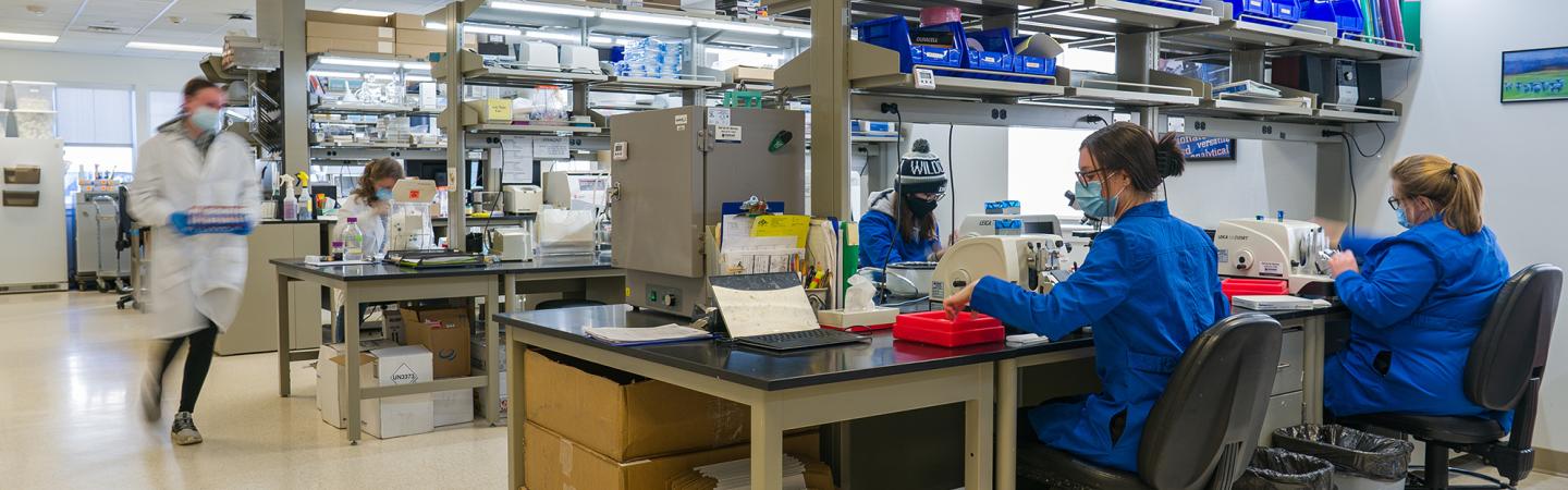 People working in the lab