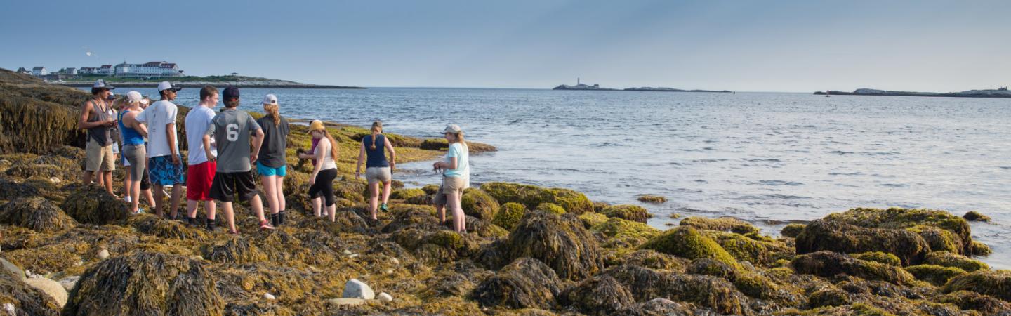 Students standing in the intertidal on Appledore Island