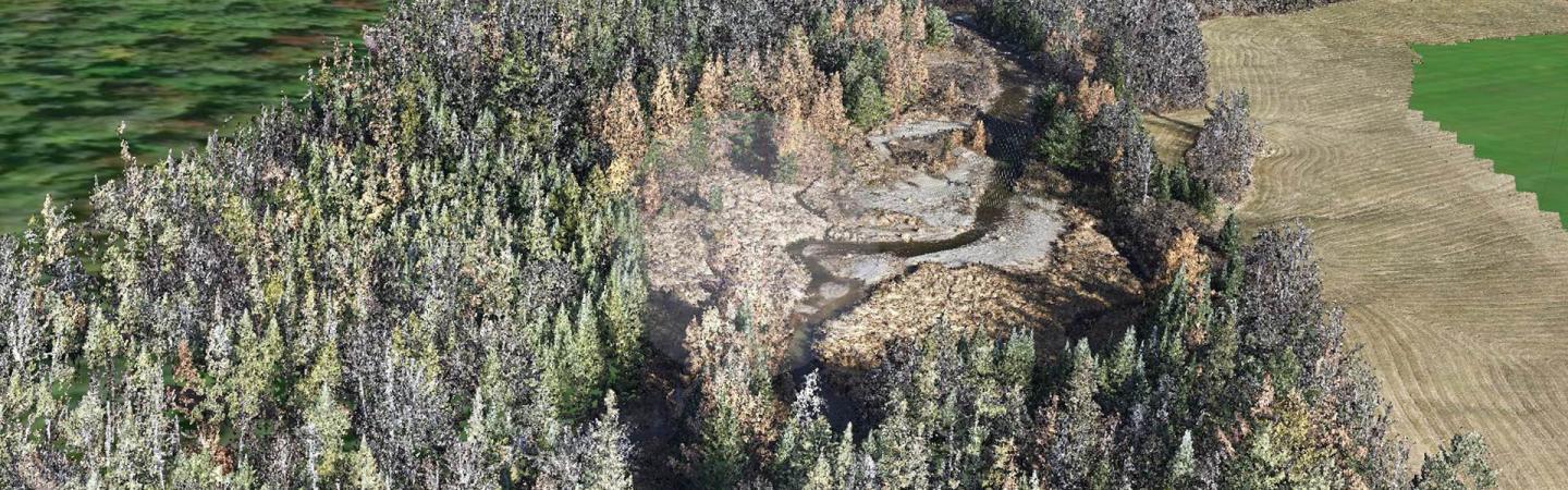 A computer generated image showing a study site of a forested area in Lancaster, NH.