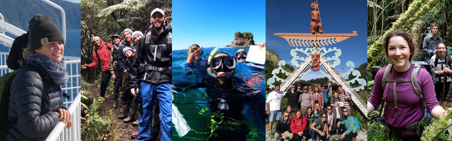 Montage of students