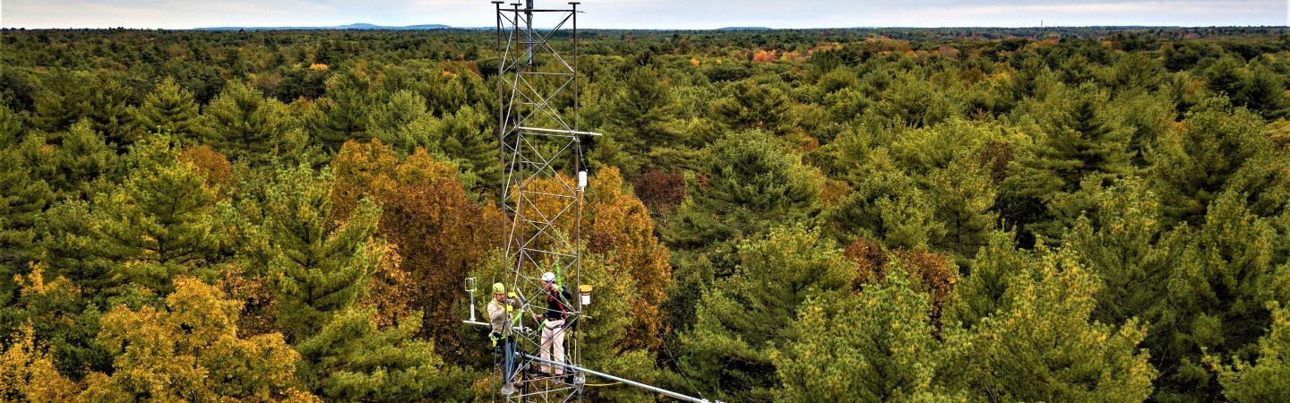 Researchers on a weather tower at Thompson Forest