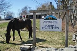unh equine facilities