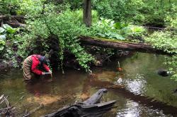 A photo of COLSA Ph.D. graduate Drew Robison '21G collecting samples from a stream to calculate methane amounts.