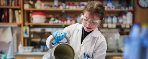 A student conducting research in the lab