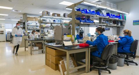 People working in the lab