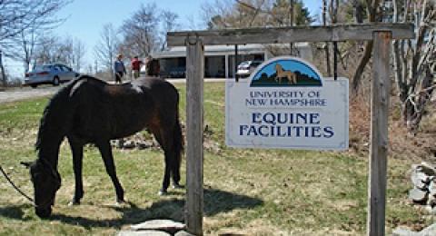 unh equine facilities
