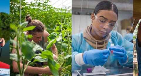 collage of two woman working in the field and in the lab
