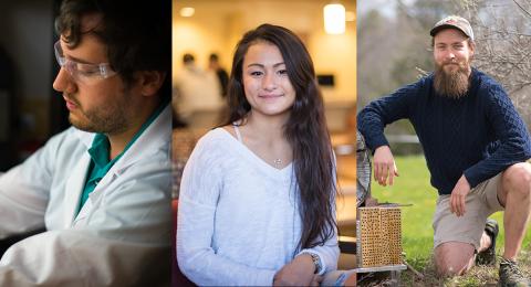 Profile shots of 5 COLSA students