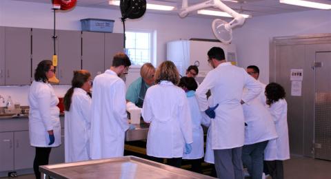 Students in a necropsy lab