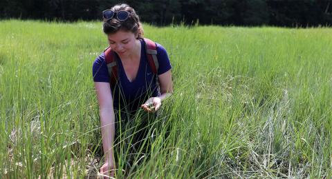 A photo of UNH PhD student Marjorie Mednikova.