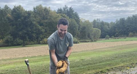 UNH student Braden Foulks holding sweet potatoes just harvested at UNH's Woodman Farm