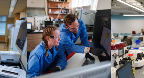 Molecular, Cellular, and Biomedical Sciences students  