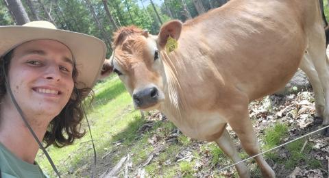 A dairy cow and a UNH student quietly observe each other with a fence between them in a forested pasture surrounded by summer foliage.