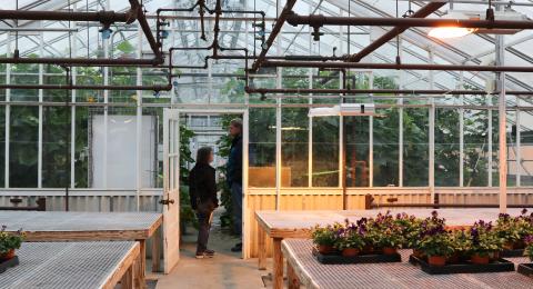 Photo from 2023 Macfarlane research greenhouse open house