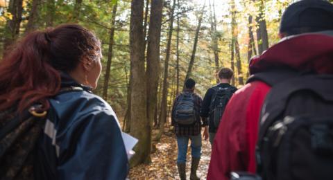 Students walking in woods