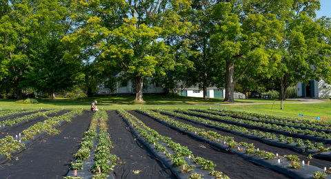 UNH Woodman Horticultural Research Farm