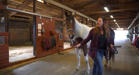 UNH equine science major Amber McElhinney '19
