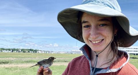 UNH graduate student Grace McCulloch with saltmarsh sparrow