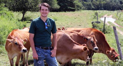A photo of staff farm worker Luke Pacchioli standing in a field with cows.
