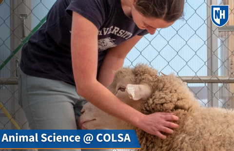 A thumbnail of an animal science major petting a sheep