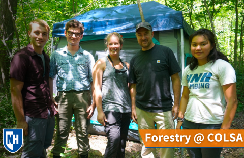 A thumbnail of forestry students and professors in the woods at UNH