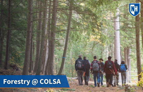 A thumbnail of forestry students in the UNH woods