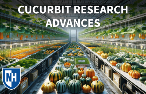 A thumbnail showing a greenhouse scene filled with pumpkins, gourds and other cucurbits. At the top is the text "Cucurbit Research Advances" and in the lower left is the UNH shield.