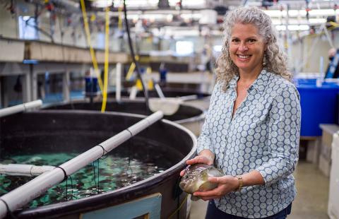 COLSA aquaculture researcher Elizabeth Fairchild holding a lumpfish