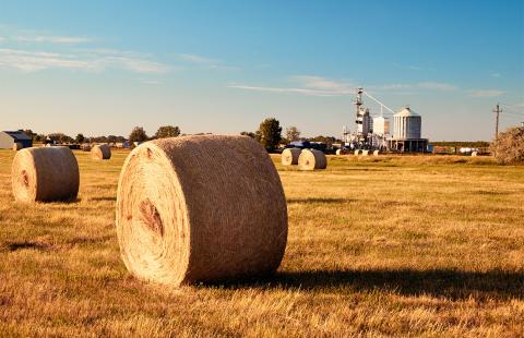A photo of large grain farm in the midwest, where achieving organic certification would make more sense.