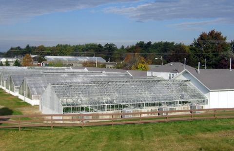 A photo of the Macfarlane Research Greenhouses in the springtime at the University of New Hampshire, Durham.
