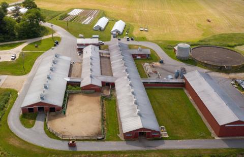 A photo of the fairchild dairy teaching and research center.