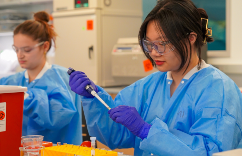 Students working on blood samples in a lab