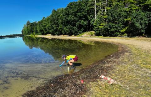 A female scientist stands over a pond and gathers a water sample from the pond. She stands along the shore bank. In the background is a tree line and in the foreground is a beach.