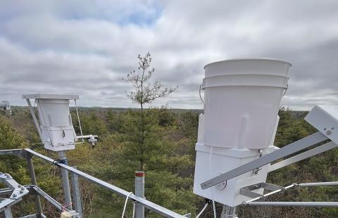 Several water collectors sit on platforms above the canopies of deciduous and pine trees.