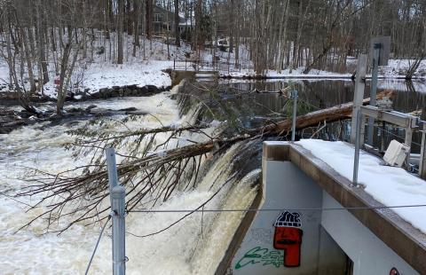 A dam in which a heavy flow of water runs over and a tree is trapped halfway upon the dam structure.