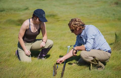 Researchers from the University of New Hampshire conducting core sampling in a coastal marsh to examine for microplastics as part of environmental conservation efforts.